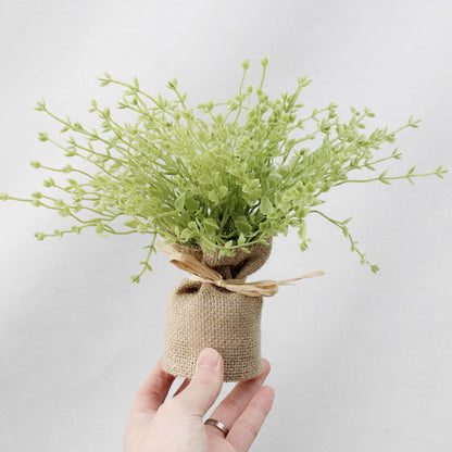 Small potted plant wrapped in burlap held by a hand against a light background
