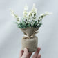 Bouquet of white flowers in a small jar wrapped with burlap and tied with a ribbon, held against a light gray background.