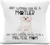 Decorative pillow with text and a cat illustration on a white background