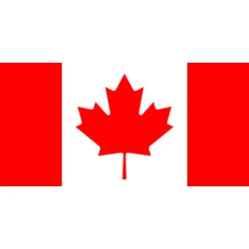 Wooden Toothpick Flags – 100-Piece Set for Appetizers, Fruit, & Party Décor