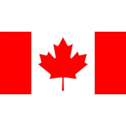 Wooden Toothpick Flags – 100-Piece Set for Appetizers, Fruit, & Party Décor