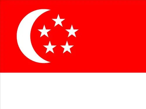 Wooden Toothpick Flags – 100-Piece Set for Appetizers, Fruit, & Party Décor