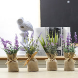 Four small potted plants wrapped in burlap on a surface with a blurred background